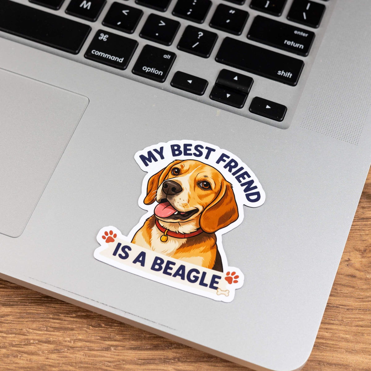 My Best Friend Is a Beagle Sticker